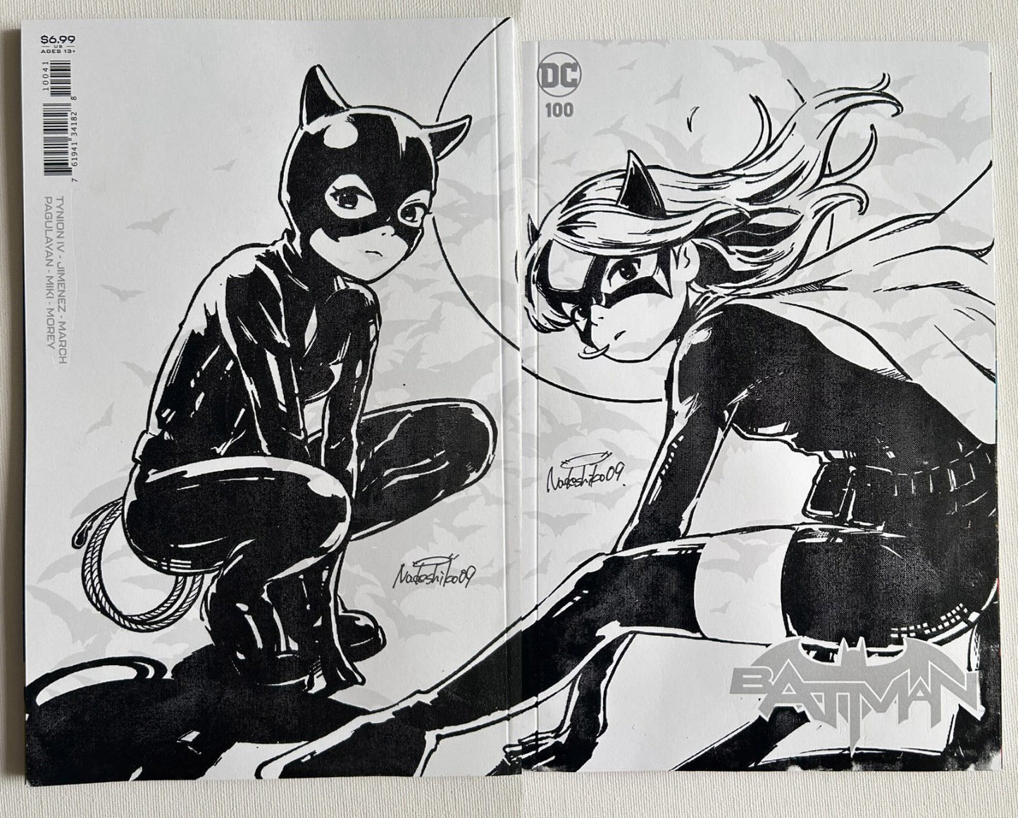 Batgirl & Catwoman by Nadeshiko