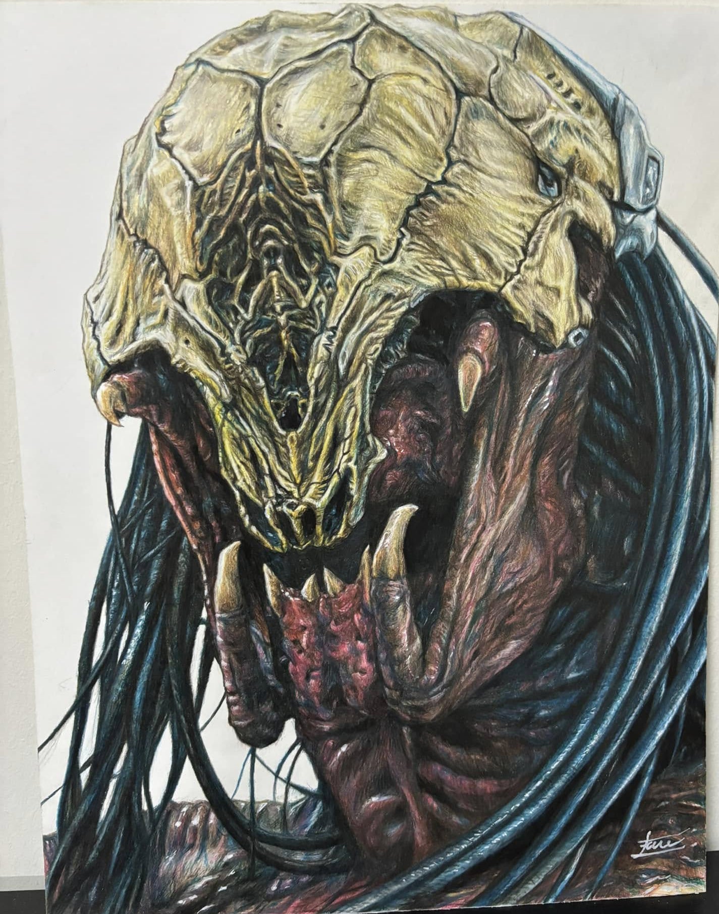 Predator by Fame Art