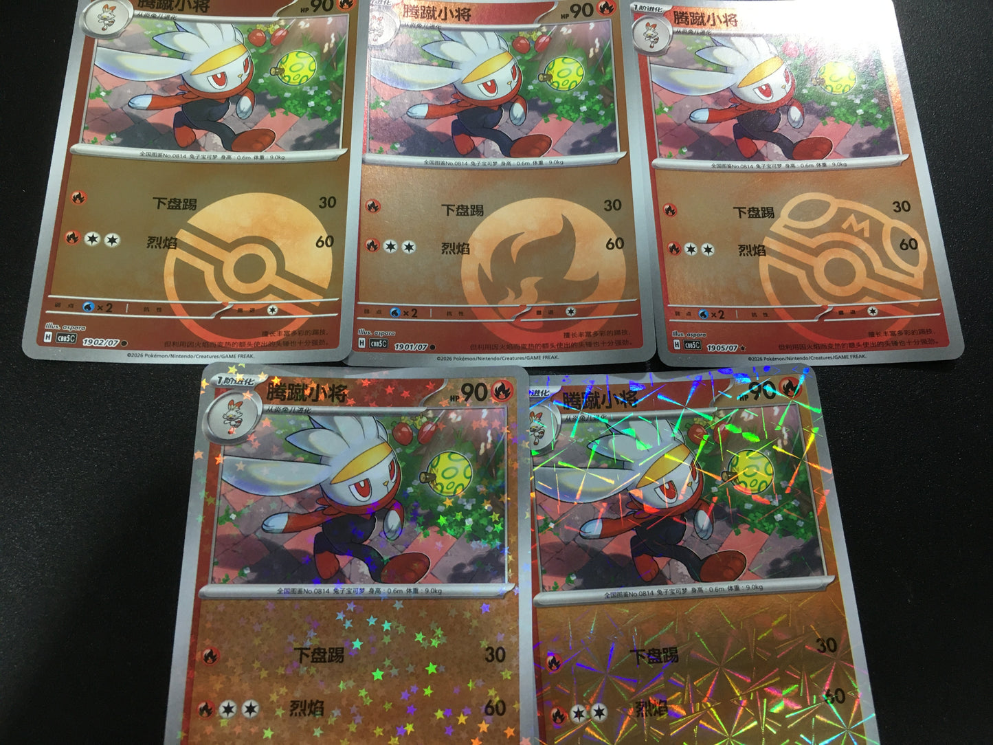 Pokemon Cards Set: Raboot