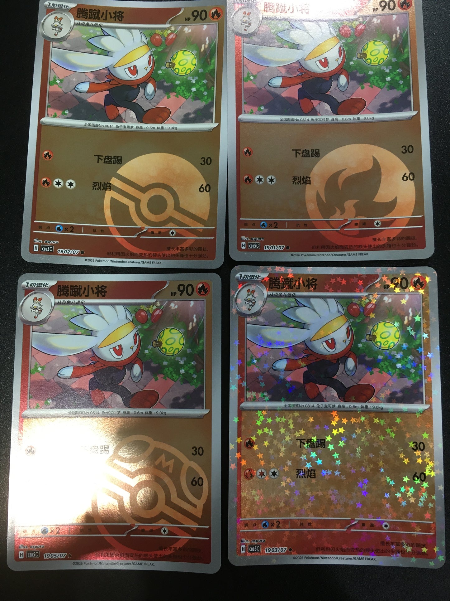 Pokemon Cards Set: Raboot